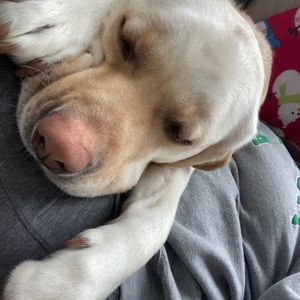 Meet your Posher, Jillian